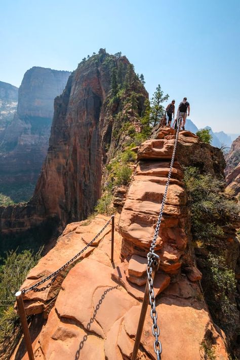 Angels Landing Hike: Epic Chain Trail In Zion National Park Utah Utah Hiking Trails, Zion Hikes, Angels Landing Zion, Zion National Park Utah, Angels Landing, Utah Hikes, Hiking National Parks, Utah Travel, Waterfall Hikes