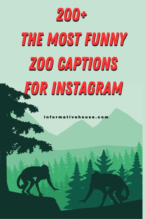 Capturing the Magic of the Zoo With Zoo Captions! -InformativeHouse Caption For Zoo Pictures, Captions For Zoo Pictures, Elephant Quotes Funny, Tiger Captions For Instagram, Elephant Captions Instagram, Zoo Quotes For Kids, Zoo Quotes For Instagram, Animal Captions Instagram, Zoo Captions For Instagram