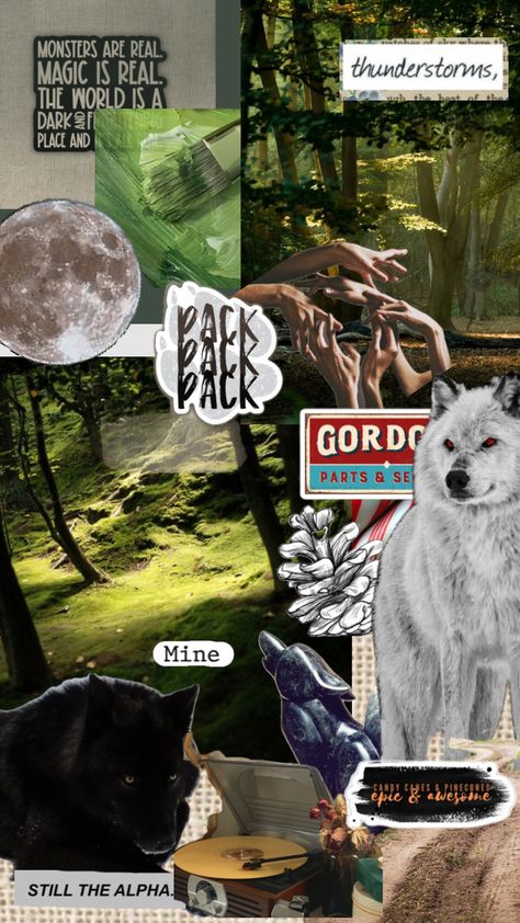 #greencreek #wolfsong #tjklune #foundfamily #pincones #pack #fantasybooks Wolf Book, Fantasy Books, Book Aesthetic, Your Aesthetic, Connect With People, Creative Energy, Mood Board, Phone Wallpaper, Fan Art