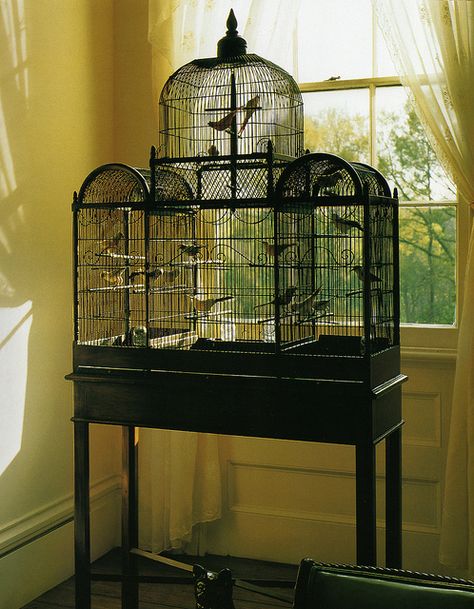 Bird Cage Inspiration | Flickr - Photo Sharing! Victorian Aviary, Victorian Birdcage, Antique Birdcage, Finch Cage, Canary Cage, Birds Cage, Wardian Case, Bird Cage Design, Antique Bird Cages