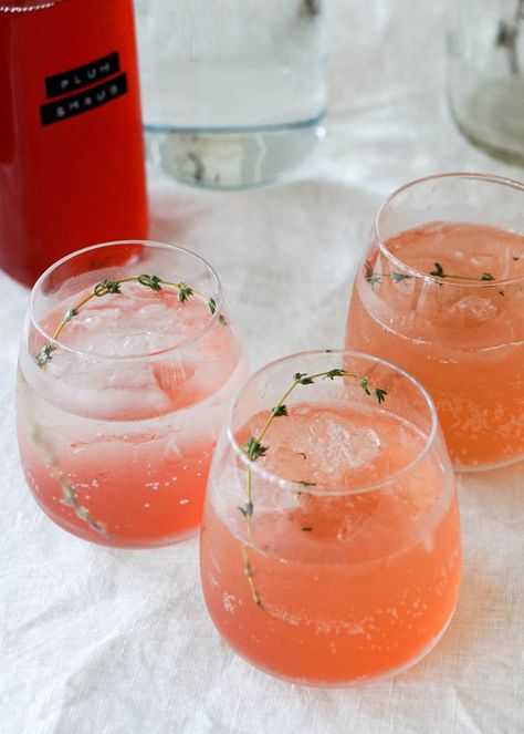 Plum Shrub Plum Drink, Shrub Drink, Fruit Shrub, Shrub Recipe, Beer Commercials, Plum Recipes, Kitchen Science, Homemade Soda, Mocktail Recipes