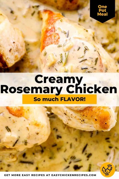 Try this Creamy Rosemary Chicken when you want juicy, creamy chicken that gets better with each bite. Prepare this delicious entree with your favorite sides to have a full meal ready to eat. Creamy Rosemary Chicken, Recipes With Rosemary, Rosemary Chicken Pasta, Garlic Rosemary Chicken, Rosemary Chicken Recipe, Rosemary Roasted Chicken, Meal Ready To Eat, Creamy Chicken Recipes, Main Food