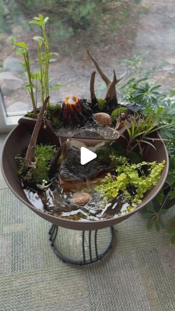 Aquascape Pond Shop on Instagram: "There are endless ways to decorate our AquaGarden Mini Pond Kit and Patio Ponds! 😍
#pond #mini #watergarden #waterfall #cute #fun #nature #moss #plants #water #decorate" Aquascape Pond, Patio Ponds, Mini Pond, Pond Kits, Patio Pond, Mini Waterfall, Pond Waterfall, Ponds, Water Garden