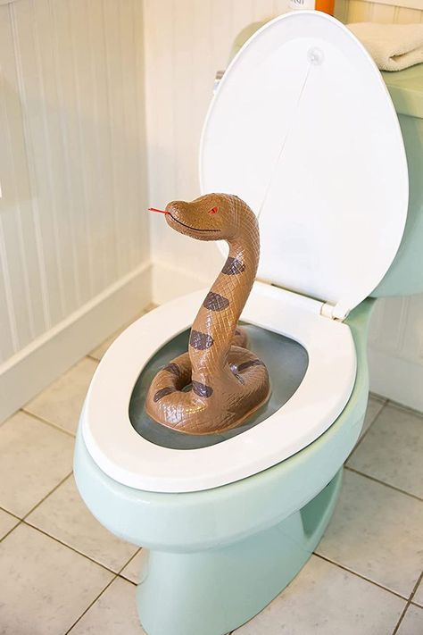 There's nothing scarier than racing to the can and getting an unexpected terrifying shock like a snake popping out of the toilet as you lift the lid. Backyard Office Shed, Scary Pranks, Jumping Spider, A Snake, Funny Coffee Mugs, Toilets, Toilet Seat, Roman Empire, Cool Gadgets