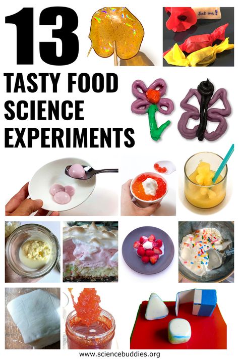 13 Tasty Food Science Experiments! | Science Buddies Blog Science Experiments With Food, Science With Food, Science Of Food, Science Desserts, Edible Science Experiments For Kids, Edible Science Experiments, Science Snack, Food Science Experiments, Homemade Rock Candy