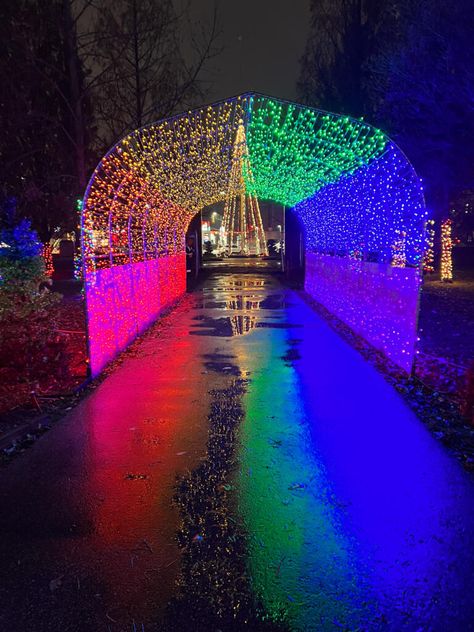 PHOTOS: Take A Look Inside Bright Lights Windsor 2023 | windsoriteDOTca News - windsor ontario's neighbourhood newspaper windsoriteDOTca News Ambassador Bridge, Windsor Ontario, Sunken Garden, Rose City, Friday Evening, Christmas Events, Holiday Market, Video Ideas, Unique Display