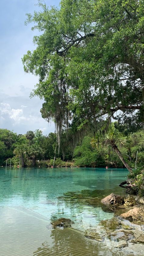 Silver Springs Florida, Florida Destinations, Florida Springs, Pretty Landscapes, Exotic Places, Holiday Pictures, Spring Nature, Florida Vacation, Beautiful Places To Travel