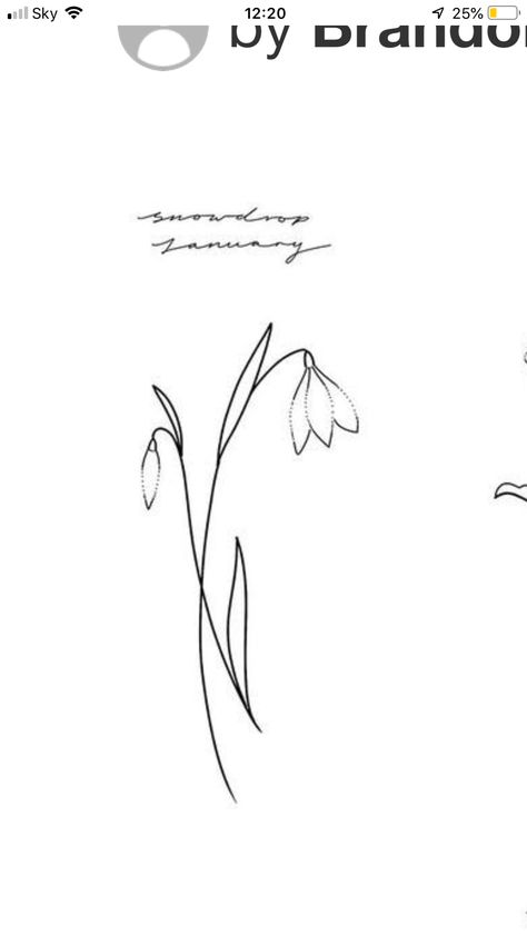 Snowdrop Wrist Tattoo, Simple Snowdrop Drawing, One Line Snowdrop Tattoo, Snow Drop And Poppy Tattoo, Snowdrop Flower Tattoo Minimalist, Linnea Flower Tattoo, Snowdrop Tattoo Design, Snow Drop Tattoo, Amelie Tattoo