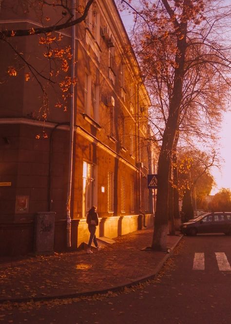 City Golden Hour Aesthetic, Winter Golden Hour, Golden City Aesthetic, Golden Autumn Aesthetic, City In Fall, Golden Hour City, Fall Golden Hour, Gold Aesthetics, Golden Hour Aesthetic