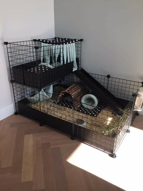 Duck Cage Ideas Indoor, Pet Bunny Rabbits Cage, Ginny Pigs Cages, Guinea Pig Cage Ideas Aesthetic, C&c Guinea Pig Cage Ideas, Guinea Pig Cage Ideas Indoor, Rabbit Enclosure Indoor, Guinea Pig Cage Setup Ideas, Indoor Guinea Pig Cage Ideas