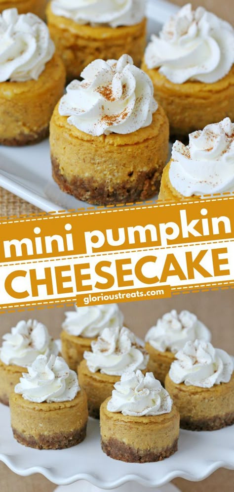 Mini Pumpkin Cheesecake, thanksgiving desserts, fall baking recipes Individual Pumpkin Cheesecake Cups, Thanksgiving Desserts Pumpkin Cheesecake, Pumpkin Cheesecake Tarts, Mini No Bake Pumpkin Cheesecake, Small Pumpkin Cheesecake Recipe, Thanksgiving Small Desserts, Thanksgiving Recipes Dessert Cheesecake, Small Batch Pumpkin Cheesecake, Mini Sweet Potato Cheesecake