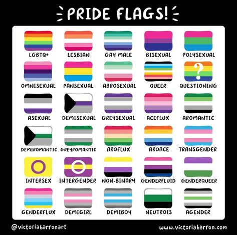 A Flag, All Pride Flags And Meanings, Pride Flags And Their Meanings, Lgbtqia+ Flags, All Lgbtq Flags, Pride Flags And Meanings, Lgbt Flags And Meanings, Queer Flag, Lgbt Flags