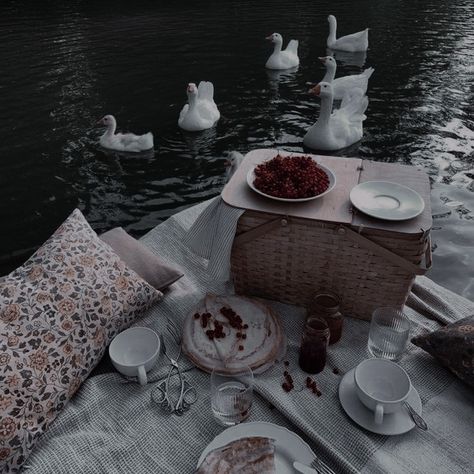 Dark Academia Picnic, Dark Money Aesthetic, Dark Picnic, Cozy Picnic, Aries Energy, Mia Sheridan, Picnic Inspo, Picnic Aesthetic, Aesthetic Journal