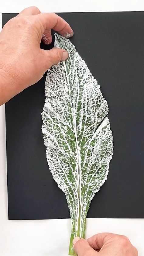 Impressions of Nature | Its time I shared a lovely large leaf...on Black.... I find these so striking, they are my second favourite after the comfrey leaf I think,… | Instagram Botanical Wall Art Diy, Leaf Print Art, Contemporary Botanical Art, Contemporary Printmaking, Leaf Printing, Herb Prints, Gelli Printing Art, Leaf Projects, Gelli Plate Art