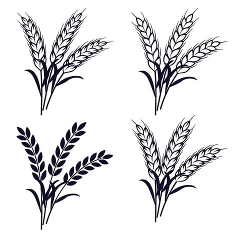 Barley Plant, Wheat Drawing, Baking Tattoo, Wheat Art, Wheat Tattoo, Wheat Plant, Wheat Vector, Sheaf Of Wheat, Grass Drawing