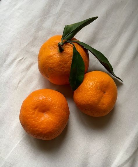 Orange Reference Photo, Orange Reference, Tangerine Aesthetic, Still Life Orange, Oranges Still Life, Still Life Pictures, Life Drawing Reference, Geometric Shapes Art, Object Photography