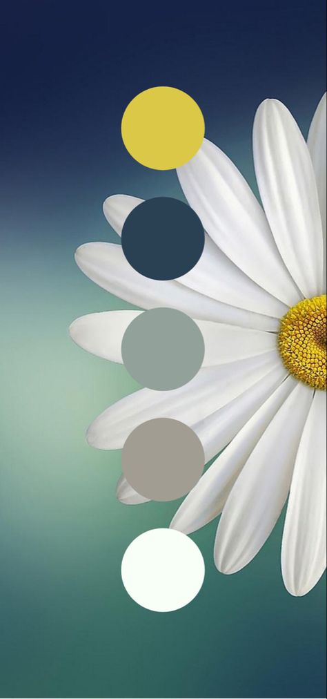 Daisy colour pallete. #colourpallete Daisy Colour Palette, Daisy Color Palette, Beige Color Palette, Font Pairings, Book Templates, Font Pairing, Brand Book, Colour Palettes, Simple Colors