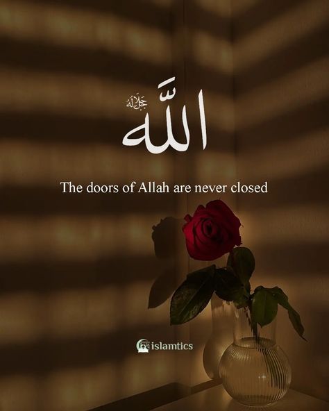 Islamic Dp Quotes, Alhamdulillah For Everything, Brother Sister Quotes, Prayer Time, Ramadan Day, Phone Wallpaper Pink, Noble Quran, Iphone Wallpaper Hd Nature, Dp For Whatsapp