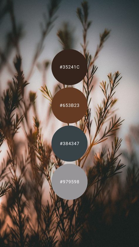 Brown Stone Color Palette, Brown Leather Color Palette, Copper Color Palette Colour Schemes, Espresso Brown Color Palette, Hunting Lodge Color Palette, Rugged Color Palette, Canva Fall Color Palette, Navy Brown Color Palette, Brown And Blue Wedding Colors