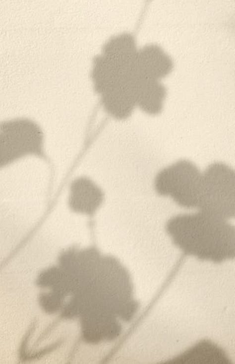 Plant Shadow Aesthetic, Flower Shadow Aesthetic, Tan Beige Aesthetic, Soft Glow Aesthetic, Homescreen Minimalist, Iphone Lockscreen Homescreen, Shadow Background, Ethereal Design, Shadow Painting