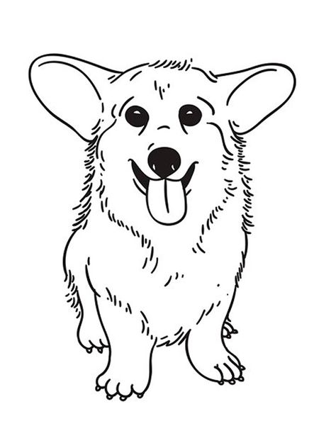 Corgi Coloring Pages, Crazy Corgi, Herding Cattle, The Queen Of England, Short Dog, Dog Coloring Page, Pokemon Coloring Pages, Pokemon Coloring, Online Coloring Pages