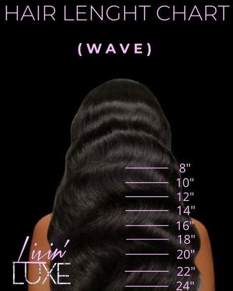 Livin’ Luxe Extensions on Instagram: “Hair Length Chart (BODY WAVE) A helpful guide to help choose the best length for you! Lengths 8”-32” are Available Now! Shop the Link…” Hair Inches Chart, Hair Inches, Hair Chart, Hairstylist Quotes, Hair Length Chart, Hair Business, Hair Quotes, Business Hairstyles, Body Wave Hair