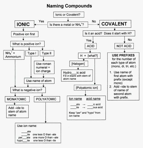 Chemistry Nomenclature, Chemistry Models, Classroom Experiments, Chemistry Concepts, Chem Notes, Chemistry Ideas, College Chemistry, Chemistry Quotes, Biochemistry Notes