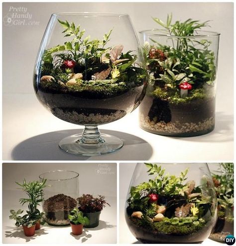 Diy Mini Fairy, Landscaping Border, Fairy Terrarium, Terrarium Garden, Indoor Fairy Gardens, Fairy Garden Plants, Fairies Garden, Terrarium Ideas, Faeries Gardens