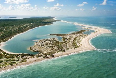 Florida — Cayo Costa State Park Cayo Costa State Park, Florida Clearwater, Florida Naples, Gasparilla Island, Florida Camping, Black Island, Pine Island, Travel Vintage, Camping Places