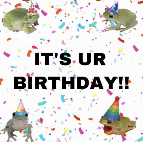 Frog Pictures, Lol Memes, Yes It Is, Birthday Meme, Cute Messages, Instagram Happy Birthday, Celebrity Tattoos, Cute Frogs, Cute Memes