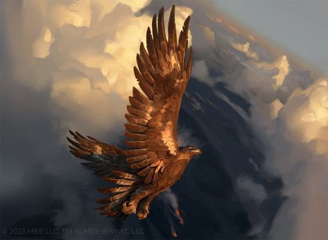 ArtStation - MTG: Meneldor, Swift Savior, Axel Sauerwald Axel Sauerwald, Environmental Art, Magic The Gathering, The Gathering, Art Boards, Swift, Illustration Art, Illustrator, Art Design