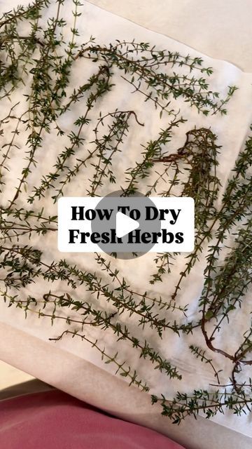 I was able to get one last little harvest from all my warm loving plants before our first frost. I had a decent amount of herbs like thyme, basil, and mint. I thought it would be fun to share how I am drying my fresh thyme with you! How To Preserve Fresh Thyme, Dry Fresh Herbs, Drying Fresh Herbs, Dried Thyme, Fresh Thyme, White Vinegar, Open Shelves, Fresh Herbs, Thyme