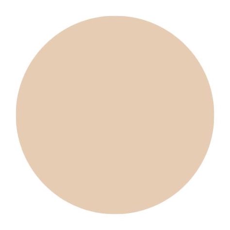 Brown Circle Aesthetic, Highlight Instagram Brown, Circle App Icon, Stray Kids Homescreen, Icons For Instagram Stories, Tan Instagram, Nude Color Palette, Beige Highlights, Makeup Logo Design