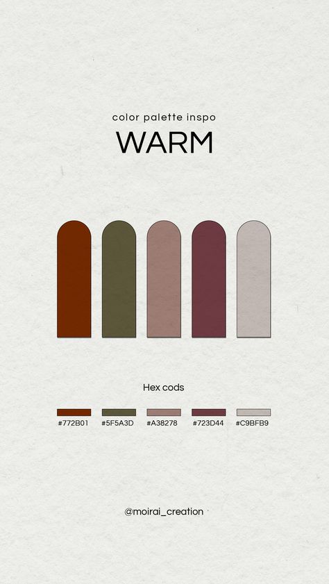 Color Palette For Website, Dark Academia Color Palette, Website Branding Design, Color Palette Warm, Warm Color Palette, Fall Wedding Color Palette, Wine Logo, Black Color Palette, Paint Color Inspiration