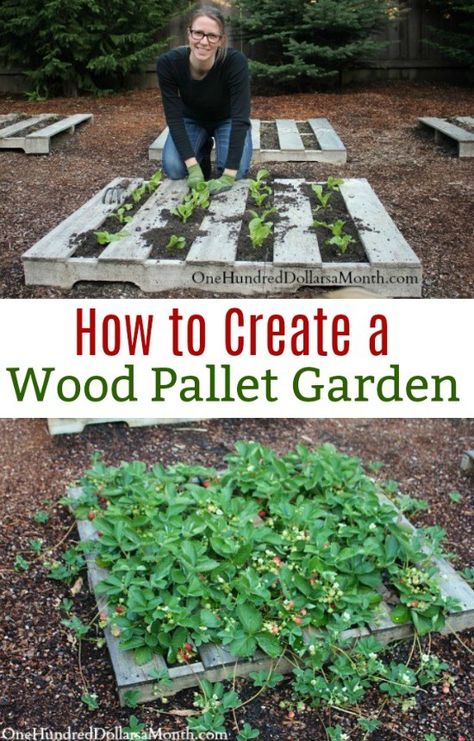 Wood Pallet Garden, Vertical Pallet Garden, Pallet Gardening, Backyard Garden Landscape, Small Backyard Gardens, Pallet Garden, Dry Creek, Pallets Garden, Home Vegetable Garden