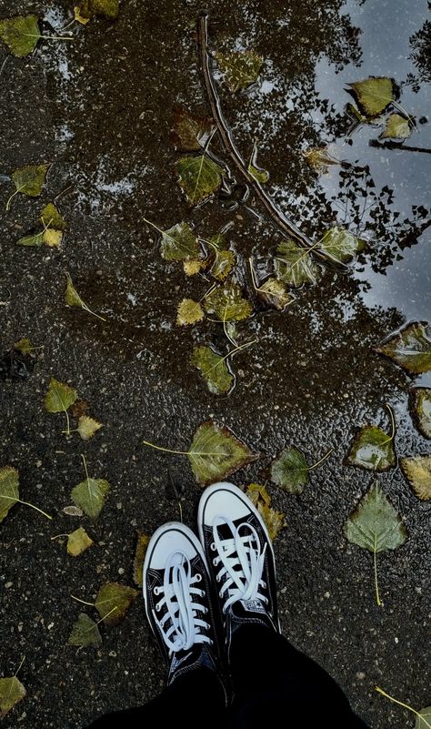 Autumn aesthetic Black Converse Aesthetic, Converse Aesthetic, Autumn Rain, Black Converse, Autumn Aesthetic, Photo Idea, Chuck Taylor Sneakers, Converse Sneaker, Converse