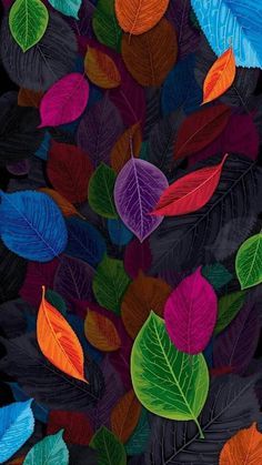 Iphone Screen, Colorful Leaves, Screen, Iphone, Black