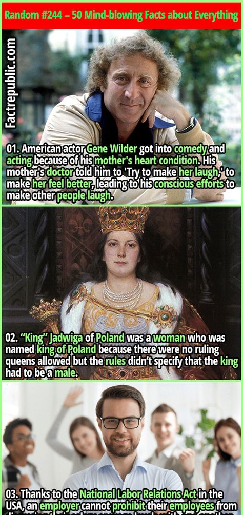 Mind Blowing Theories, Funny Facts Mind Blowing, Mind Blowing Thoughts, Random Fun Facts, Useful Facts, Make Her Laugh, Gene Wilder, Fact Republic, Her Laugh