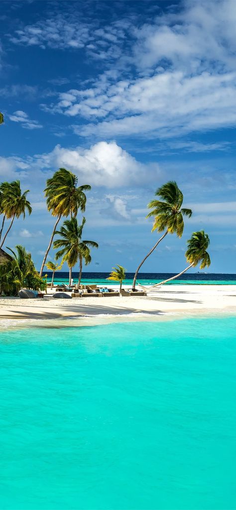 Maldives Wallpaper, Seaside Wallpaper, Beautiful Beach Pictures, Tropical Beaches, Beach Wallpaper, Beautiful Places In The World, Alam Yang Indah, Beautiful Places To Travel, Tropical Beach