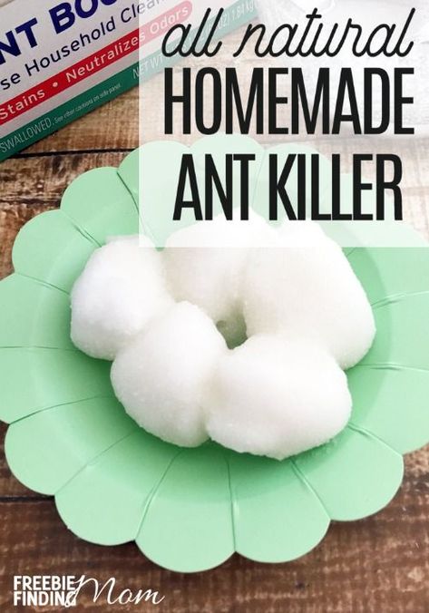 Are you hosting some uninvited guests at your home? I’m talking about ants. Eliminate these pests with a natural pesticide that is non-toxic and safe for your family and pets by making this homemade ant killer recipe. You need just sugar, Borax, water, cotton balls, and a small plate to learn how to kill ants naturally. In only a few minutes you have natural pest control! Kill Ants Naturally, Ant Killer Recipe, Homemade Ant Killer, Rid Of Ants, Kill Ants, Natural Pesticides, Get Rid Of Ants, Ant Killer, Bug Killer