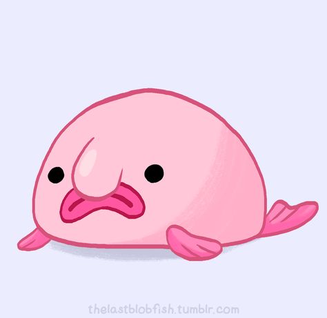 Blobby the Blobfish Sneep Snorp, Animal Kindergarten, Fish Gif, Blob Fish, Chibi Animals, Strange Animals, Punny Puns, Button Ideas, Food Fish