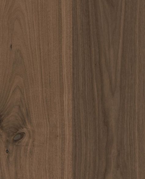 Walnut Floors Wooden Flooring Texture, Natural Wood Polish, Walnut Wood Texture, Walnut Texture, Walnut Flooring, Flooring Texture, Michigan Lake, Prefinished Hardwood, Walnut Floors