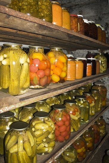 Build a Mini Root Cellar that Actually Works - MOTHER EARTH NEWS Root Cellar Storage, Root Cellars, Canned Food Storage, Organized Pantry, Build A Shed, Root Cellar, Mother Earth News, Canning Food, Cold Room