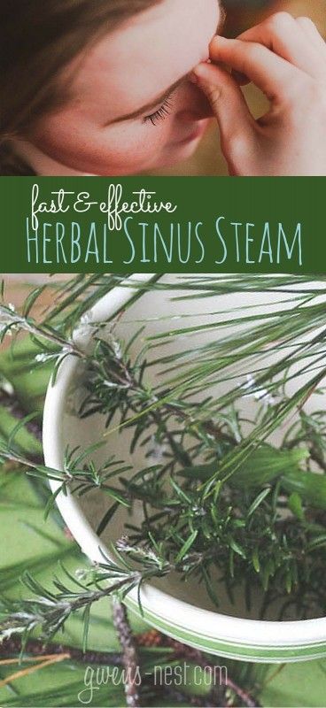 Home Remedy for Sinus Infection | Gwen's Nest Remedy For Sinus Infection, Home Remedies For Sinus, Sinus Infection Remedies, Asthma Relief, Summer Health, Allergy Remedies, Healthy Diet Tips, Sinus Infection, Daily Health Tips