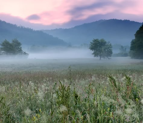 A misty dawn over a beautiful blooming meadow in Šumadija Serbia [1024 x 882] Serbia Landscape, Serbia Aesthetic, Serbia Nature, Color Analysis Summer, Misty Dawn, Landscape Photography Nature, Morning Inspiration, Aesthetic Things, Beautiful Landscape Wallpaper