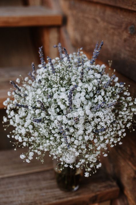 Lavender And Babysbreath, Baby's Breath Bouquet, Lavender Bridal Bouquet, Cascading Wedding Bouquets, Lavender Bouquet, Lavender Sage, Lavender Buds, Lavender Wedding, Dried Lavender