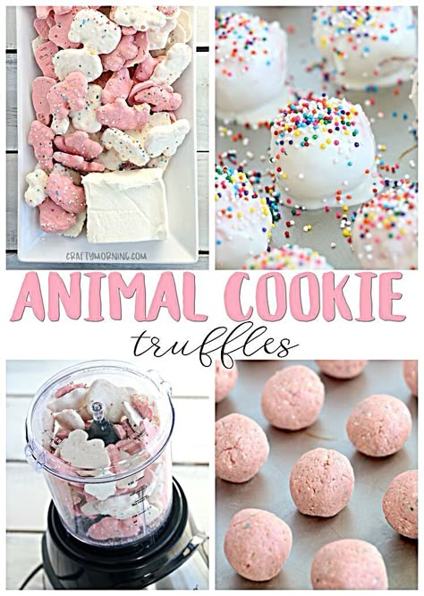 Gourmet Cake Pops, Twix Truffle, Unique Bakery Treats, Cookie Cakepops, Unique Cake Pops, Animal Cookie Truffles, Cookie Truffles Recipe, Cake Truffles Recipe, Unique Sweets