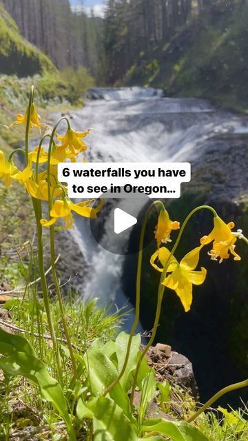 Anna [+Thomas] // The PNW + Beyond on Instagram: "Some hidden gem falls in today’s line up 😉and the best part is some don’t even require a hike to see!   I’ve been lucky enough to explore so much of this beautiful state in the last 3 years since moving here, and the waterfalls we have here in Oregon are something that will never get old or cease to amaze me!!   📌SAVE for your Oregon bucket list!!  The best time to see waterfalls here is spring because of the rainfall, so get out there and chase some waterfalls before summer rolls in!! Or save for next spring’s adventures :)   👋🏻Hi! We’re Tom + Anna, two travel lovers based in Oregon- we spend our free time hiking and exploring the PNW showing you our favorite spots and must dos! Follow @adventures__with__anna so you never miss an Orego Oregon Bucket List, Anna Thomas, Oregon Washington, Summer Rolls, Columbia River Gorge, Bike Path, Travel Lover, Hidden Gem, Free Time