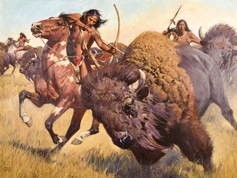 David Mann Art, Native American Drawing, Buffalo Art, Native American Paintings, Western Artwork, Native American Warrior, Hunting Art, Native American Symbols, Native American Pictures