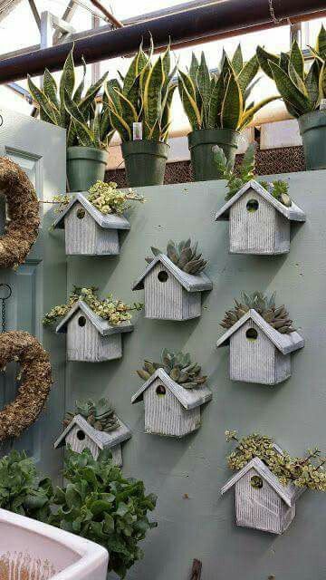 Succulents birdhouse House Planter, نباتات منزلية, Concrete Garden, Vertical Gardens, Backyard Fences, Deco Floral, Cactus Y Suculentas, For The Birds, Bird Feeder